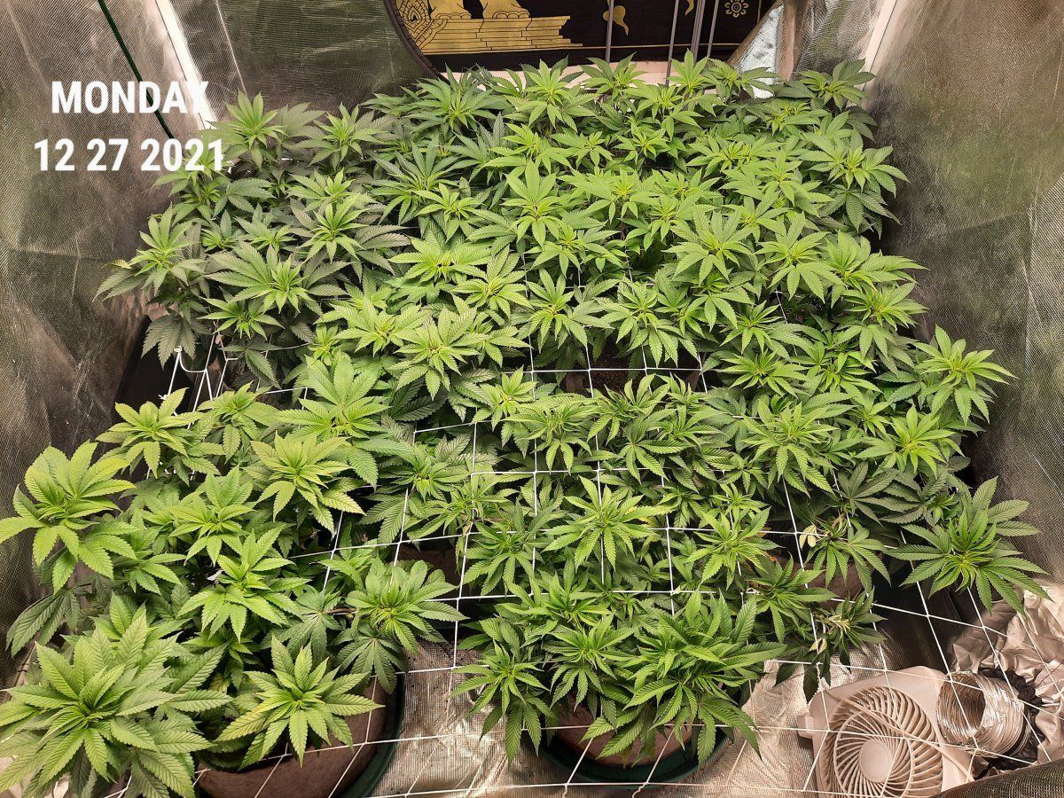 20211227 072841