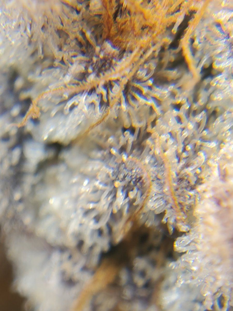 20220128 191056