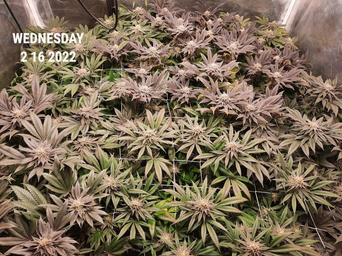 20220216 160224