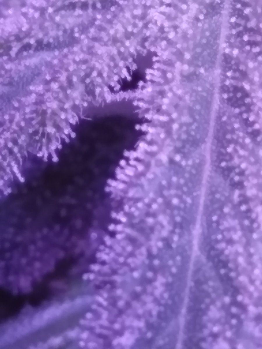 20220517 191547