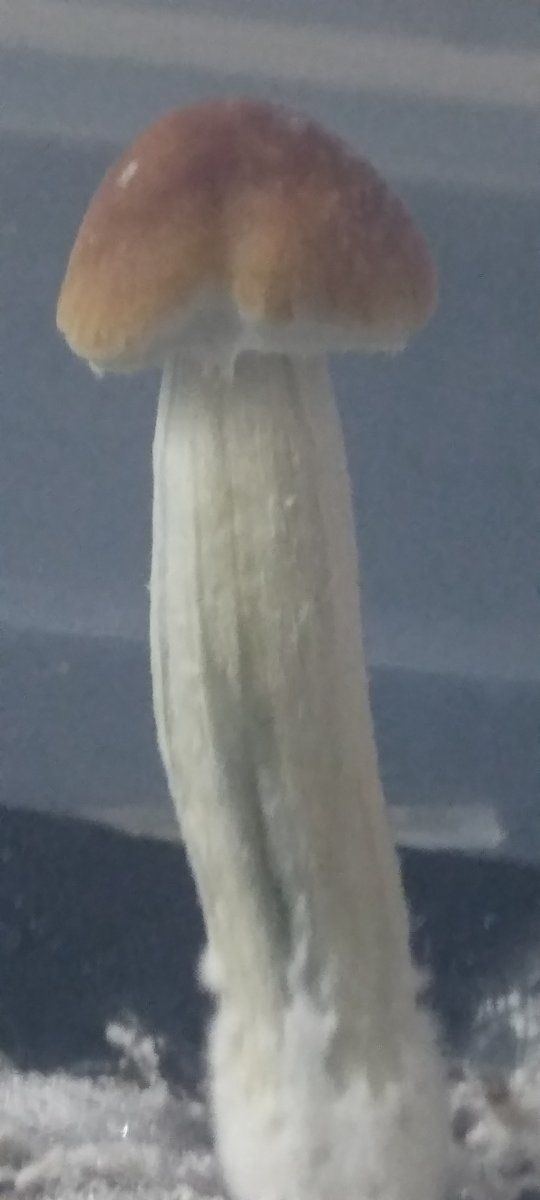 20220616 213901