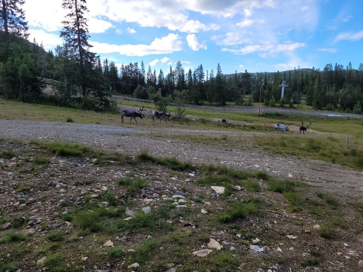 20220711 185852