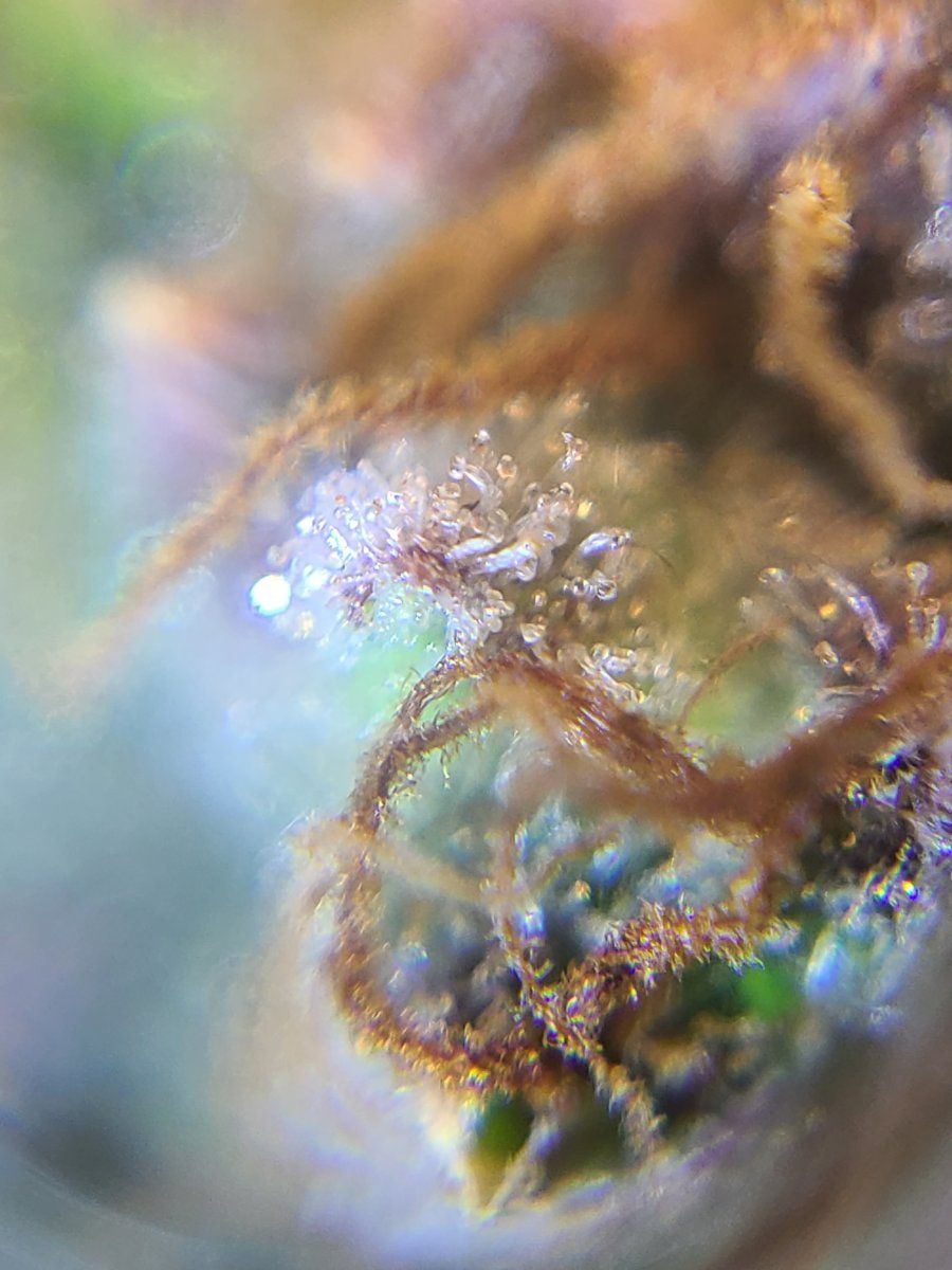 20220724 165250