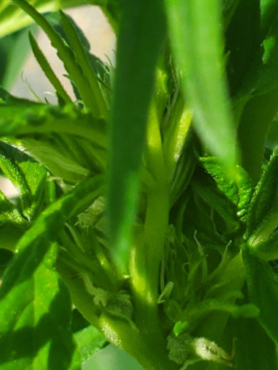 20220802 094203