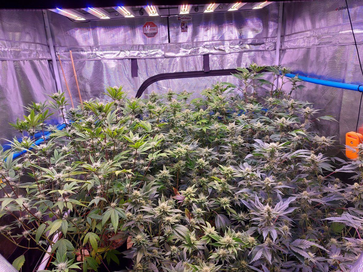 20220813 172944