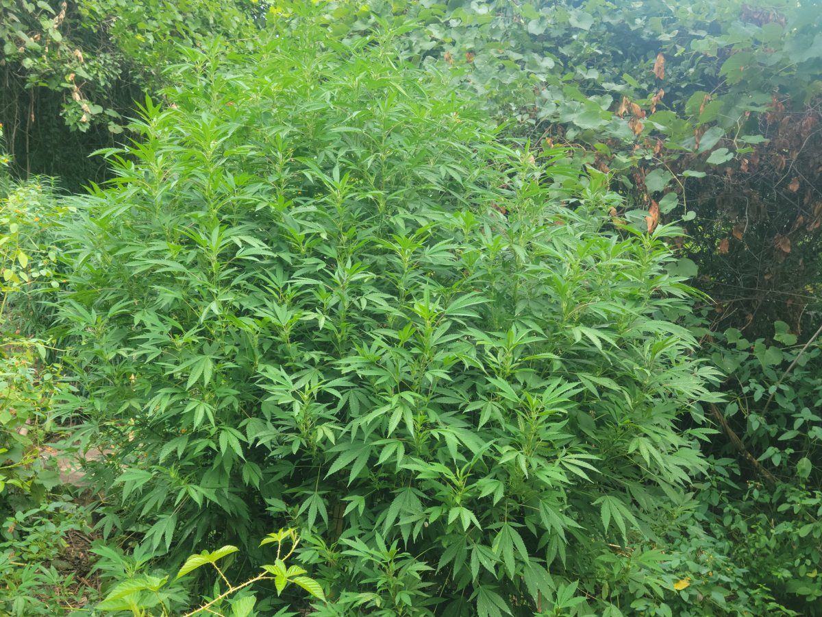 20220818 094425