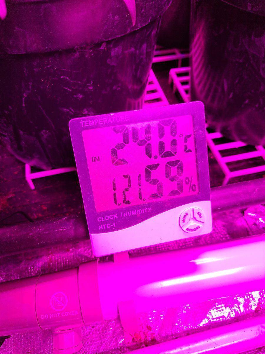20220919 195706