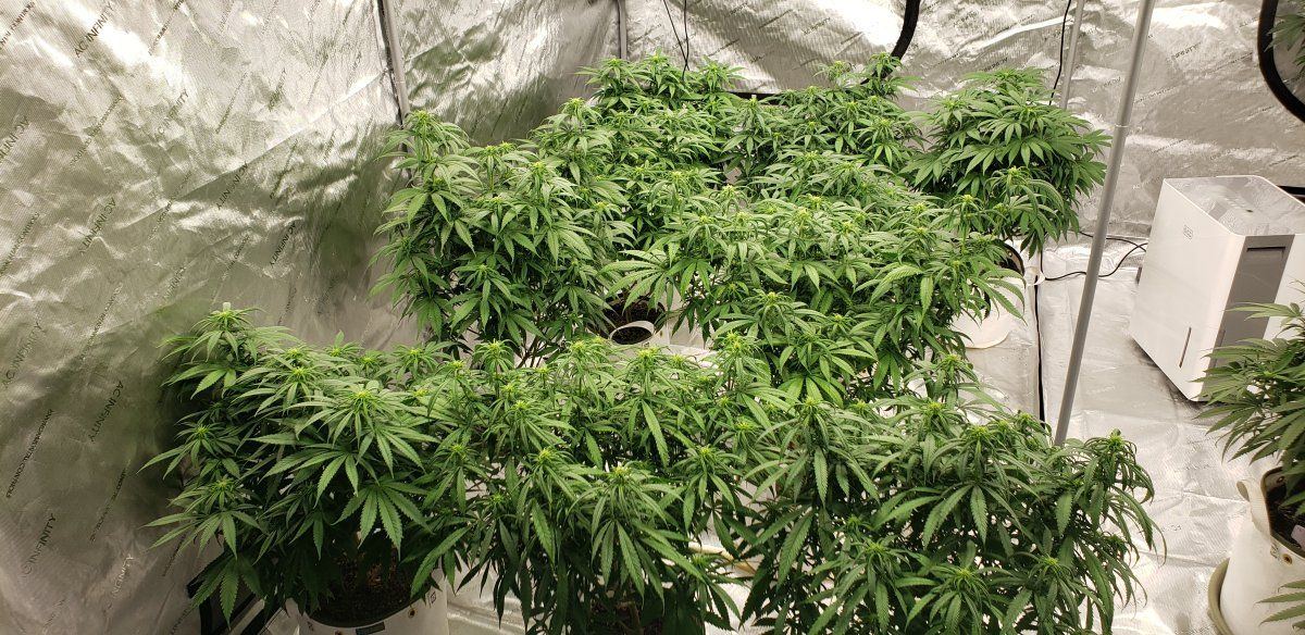 20221002 184627