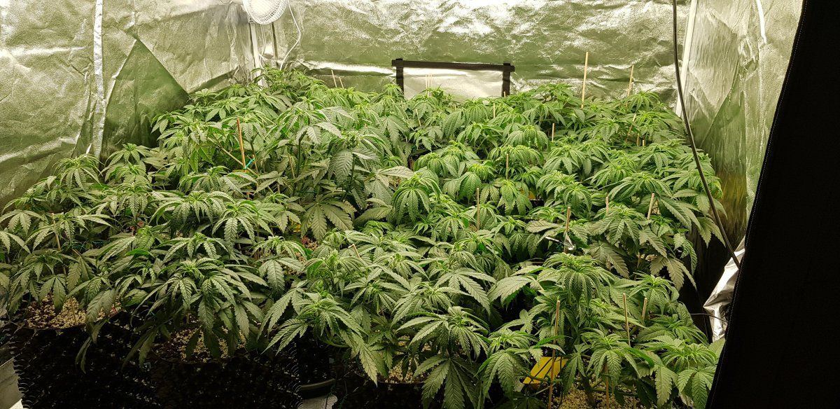 20221023 184405