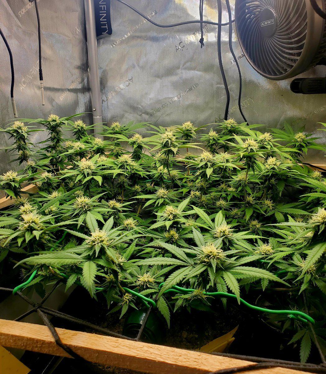 20221213 152903