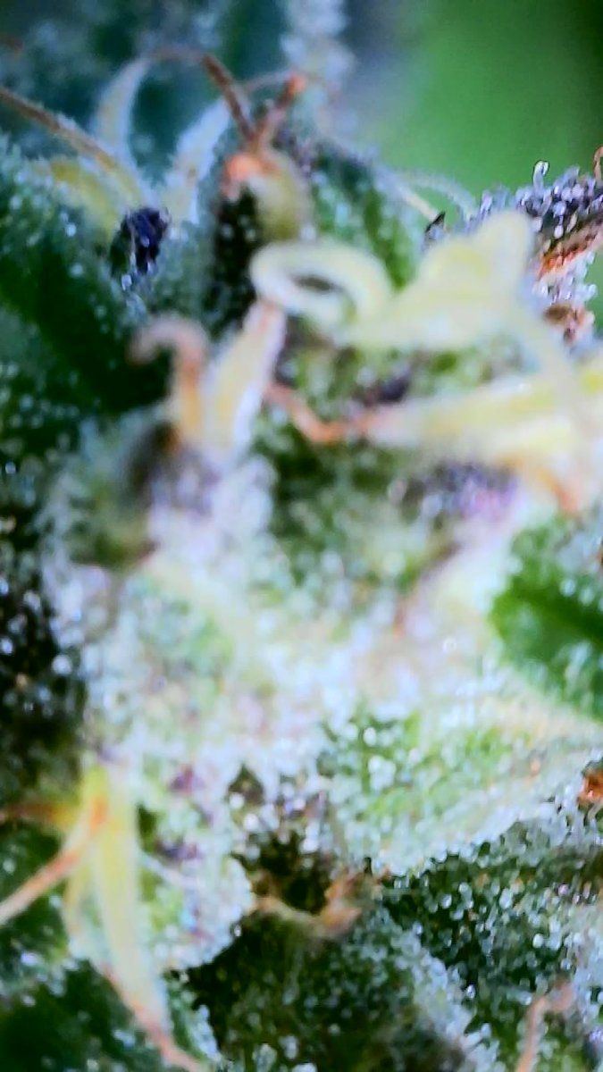 2022 10 14 15 26 38 074