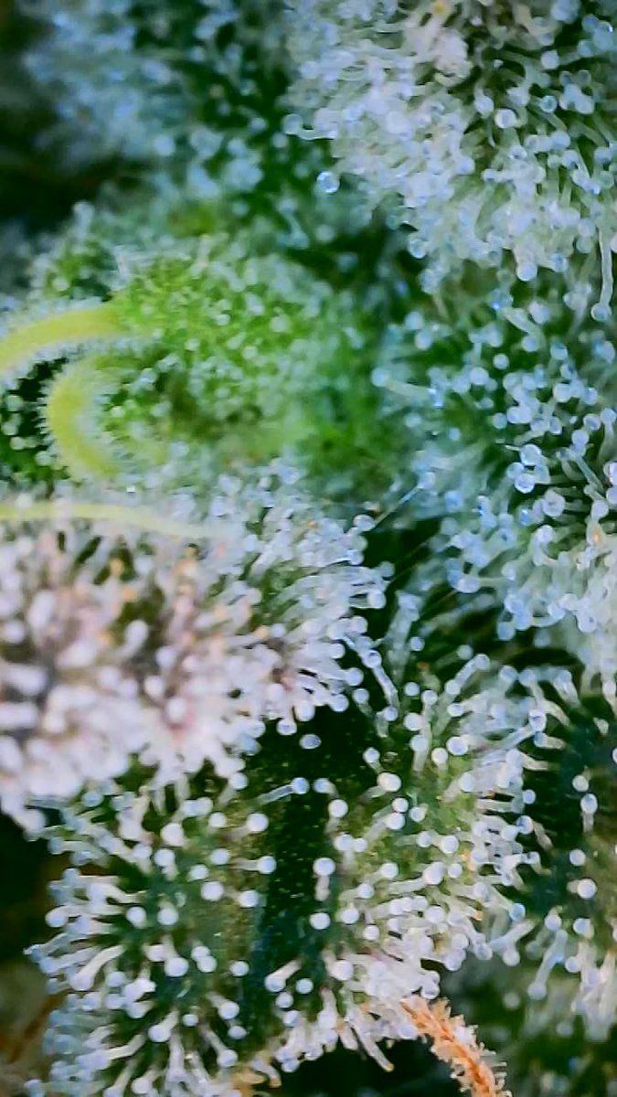 2022 11 26 20 24 49 793