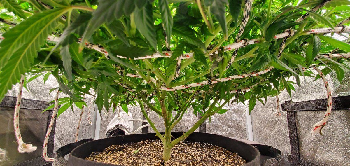 20230113 095405