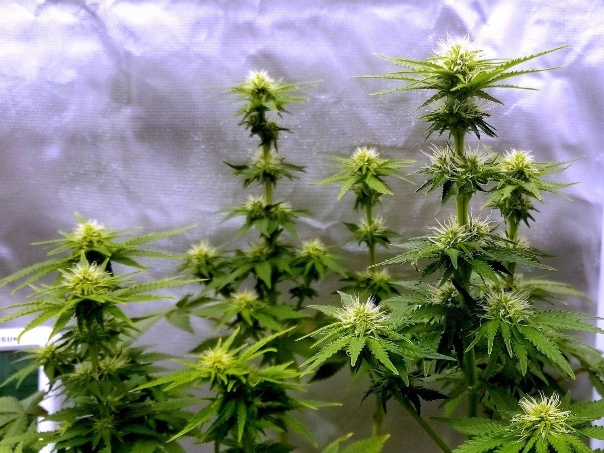20230219 085730