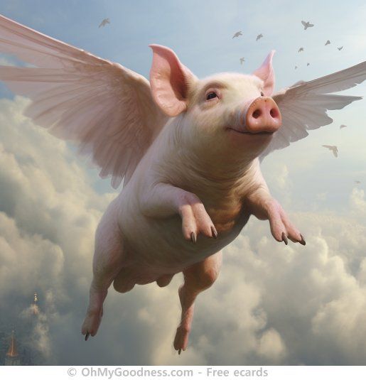 202305231740420when pigs fly