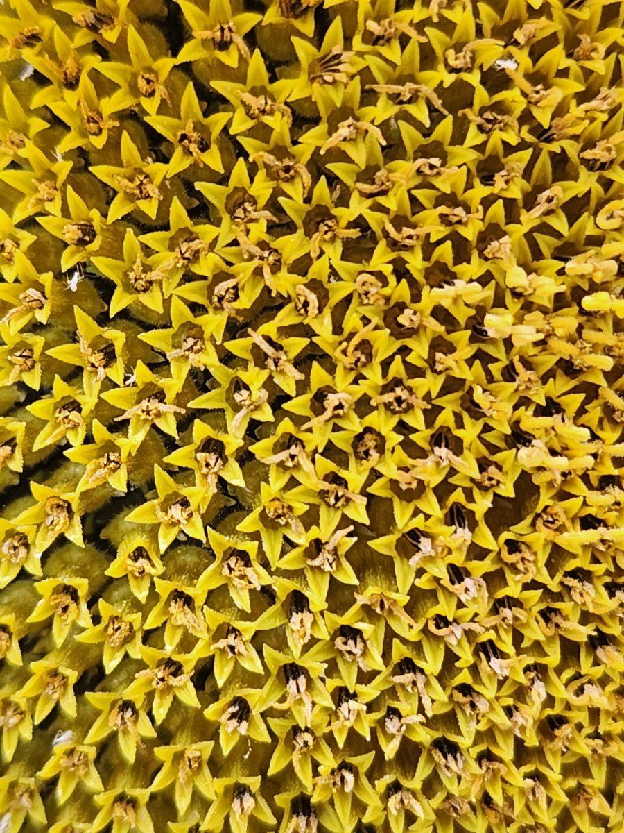 20230628 191318