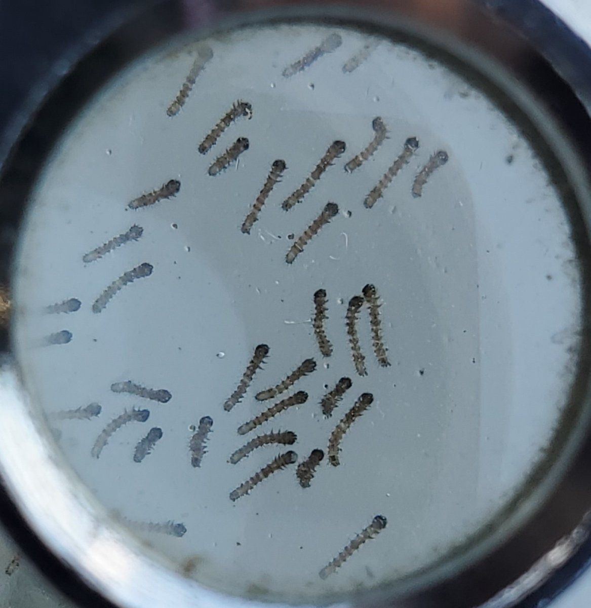 20230828 171635