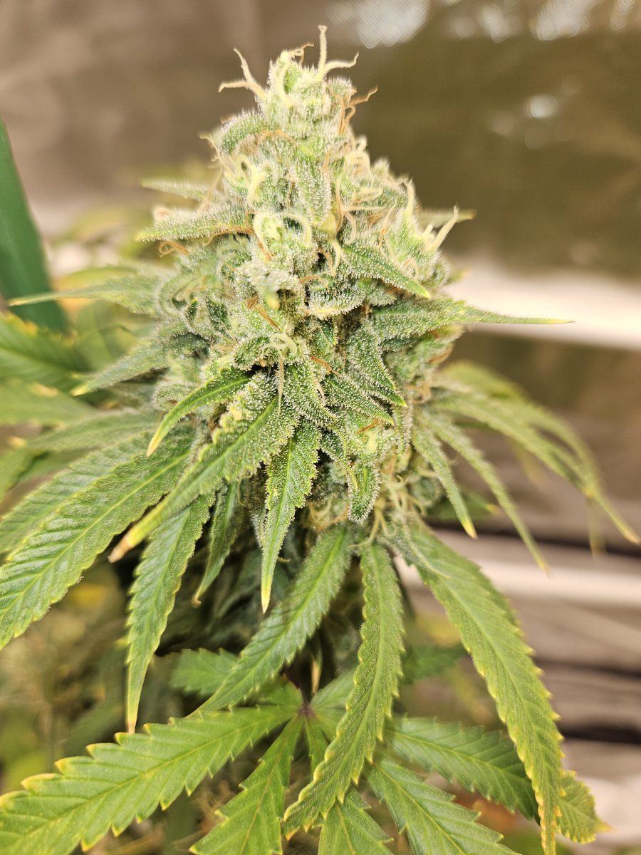 20231001 214101