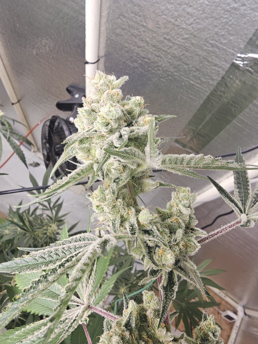 20231008 200412