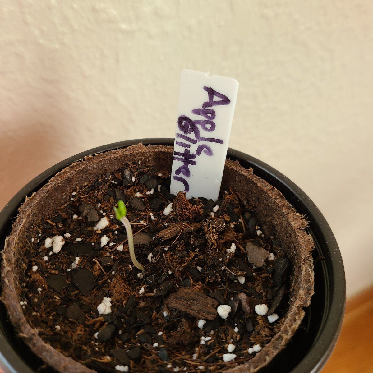 20231104 111045