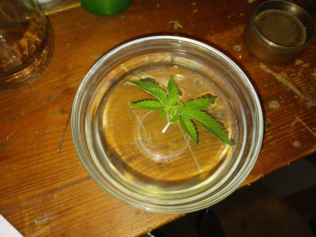 20231108 100642