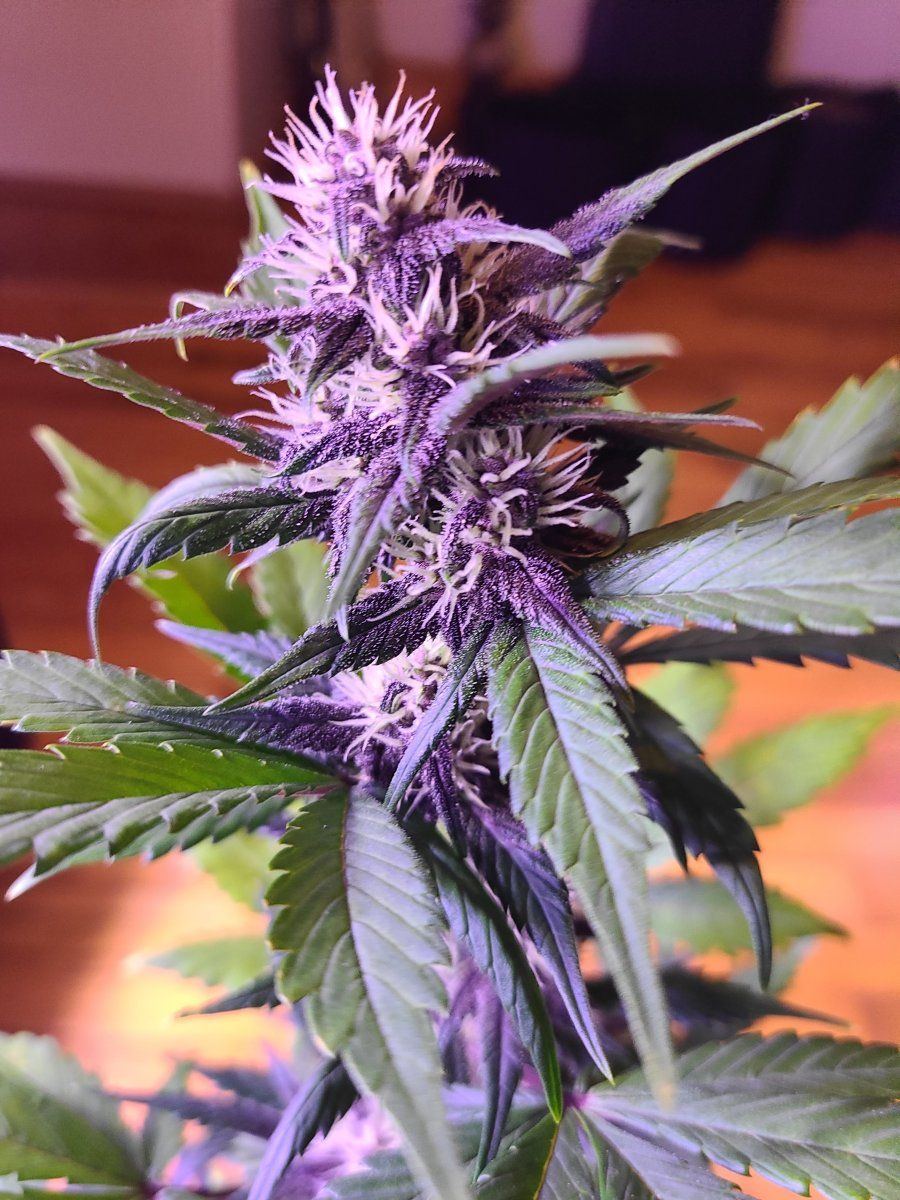 20231204 091919