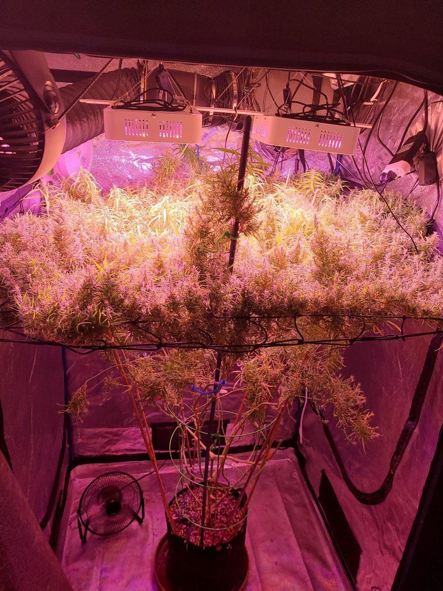 20231214 110102
