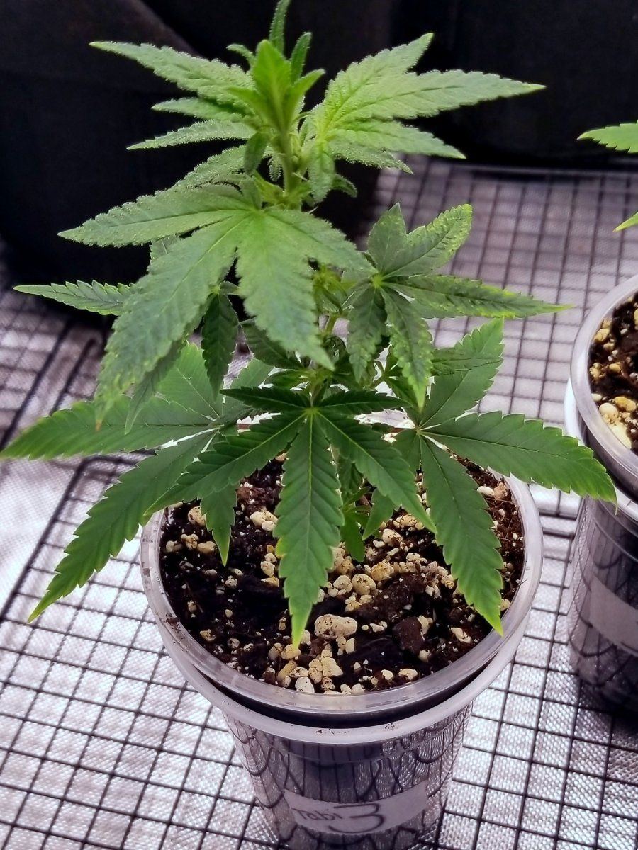 20231226 203528