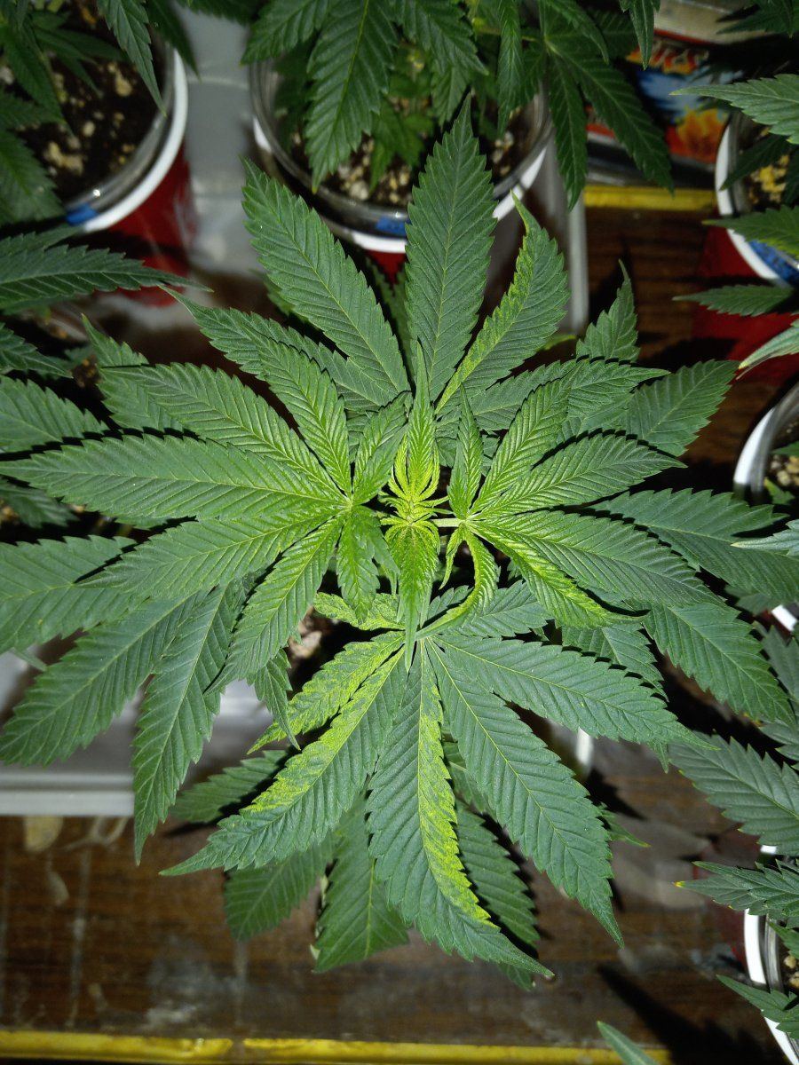 20240101 151921