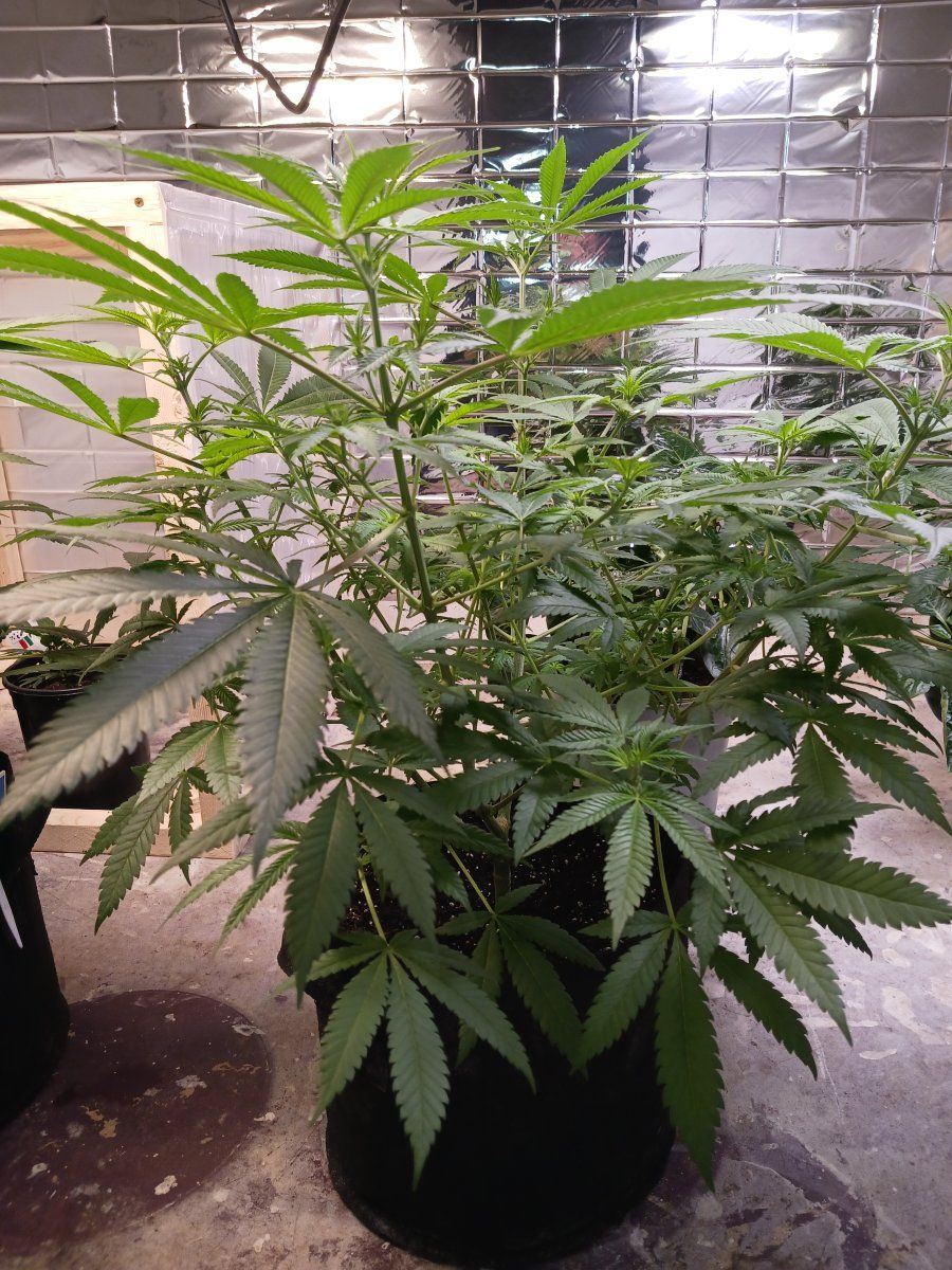 20240102 141226