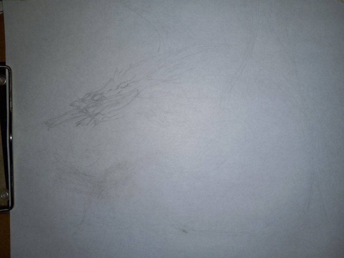 20240204 164028