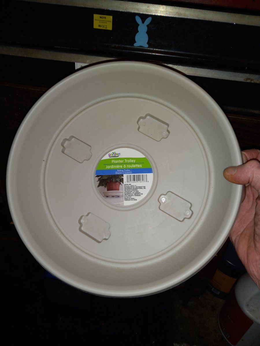20240331 232626