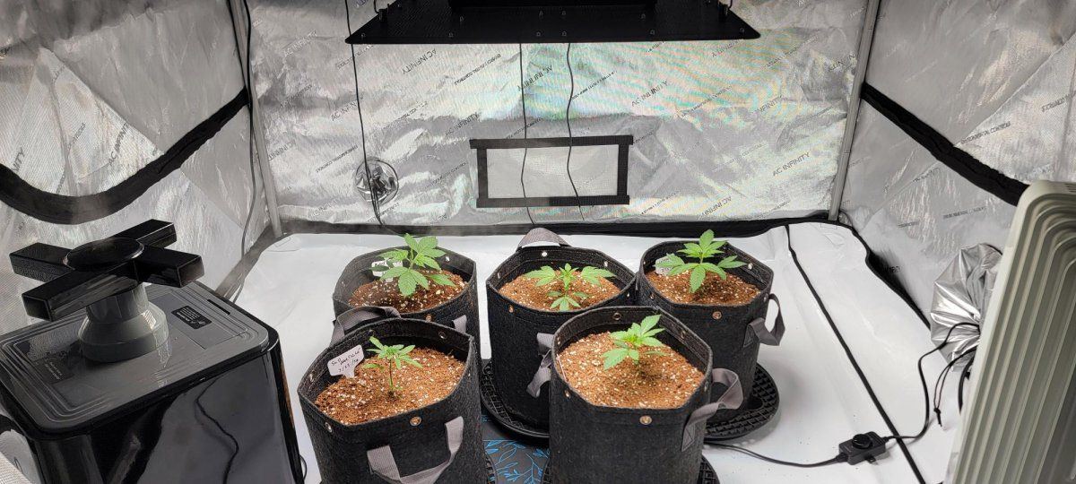 20240409 091121