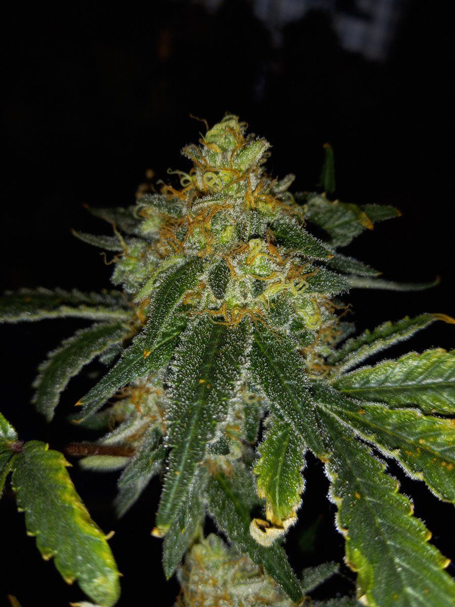 20240427 133131
