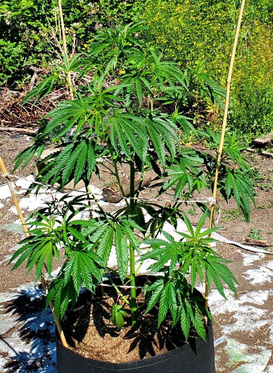 20240620 110458