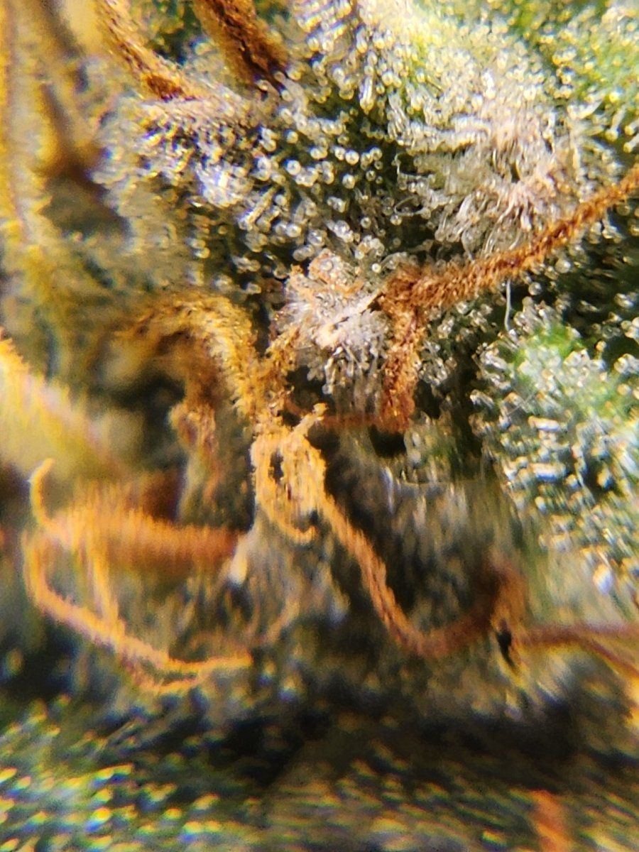 20240628 130329