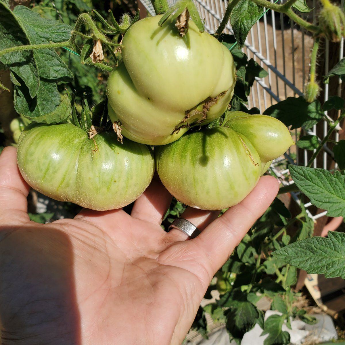 20240701 160514
