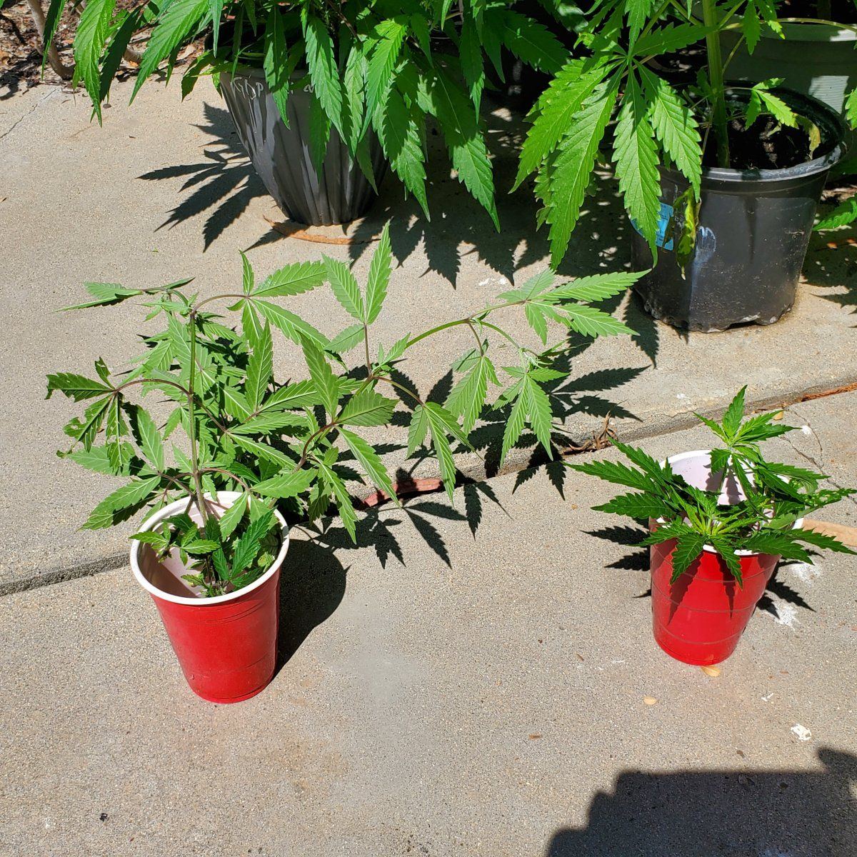 20240706 103233
