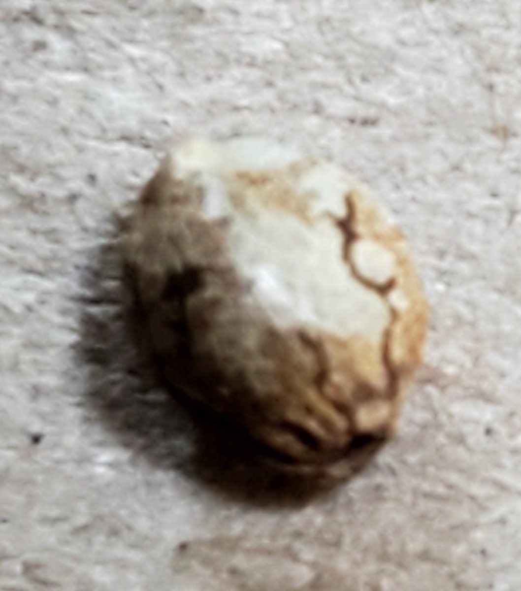 20240724 164945