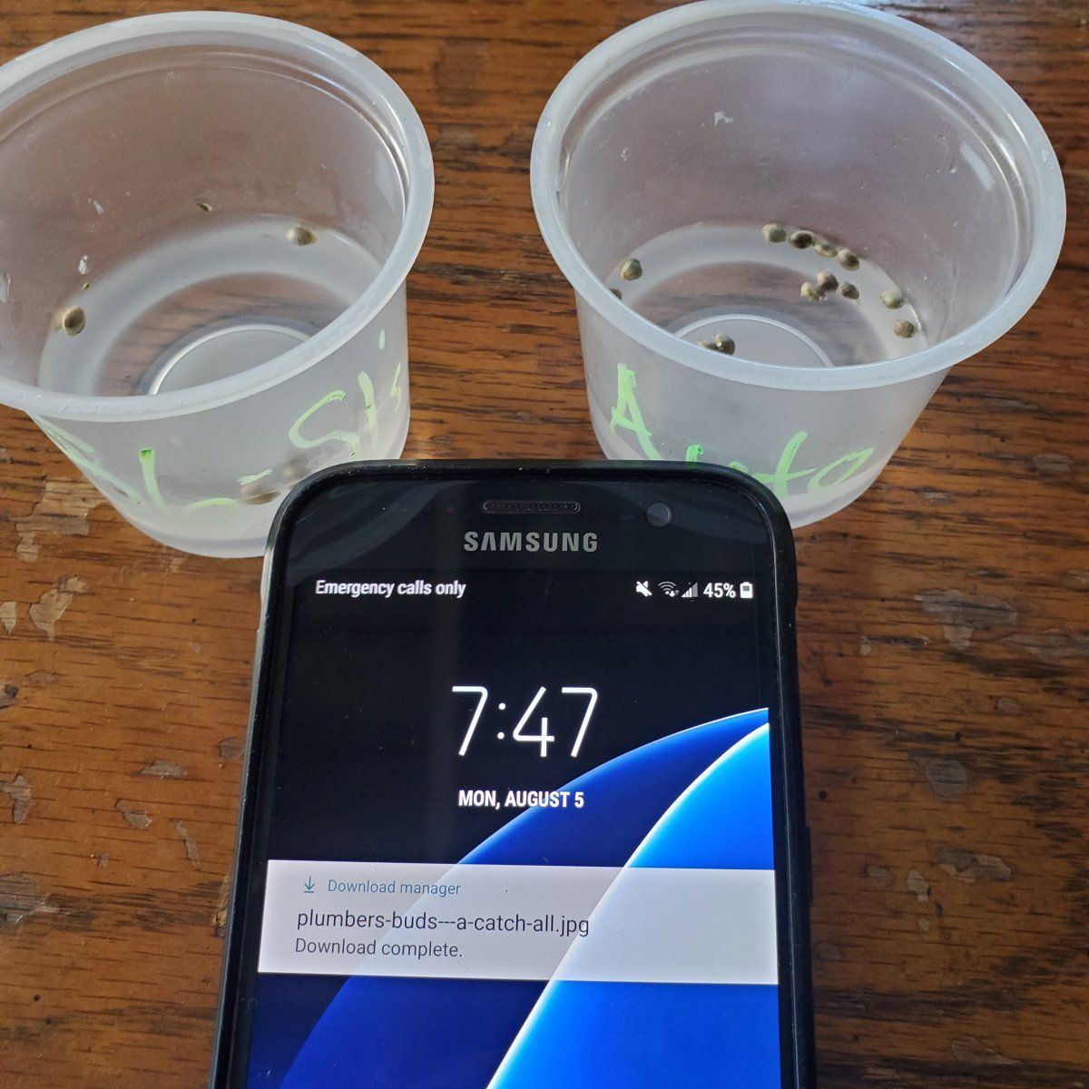 20240805 074719