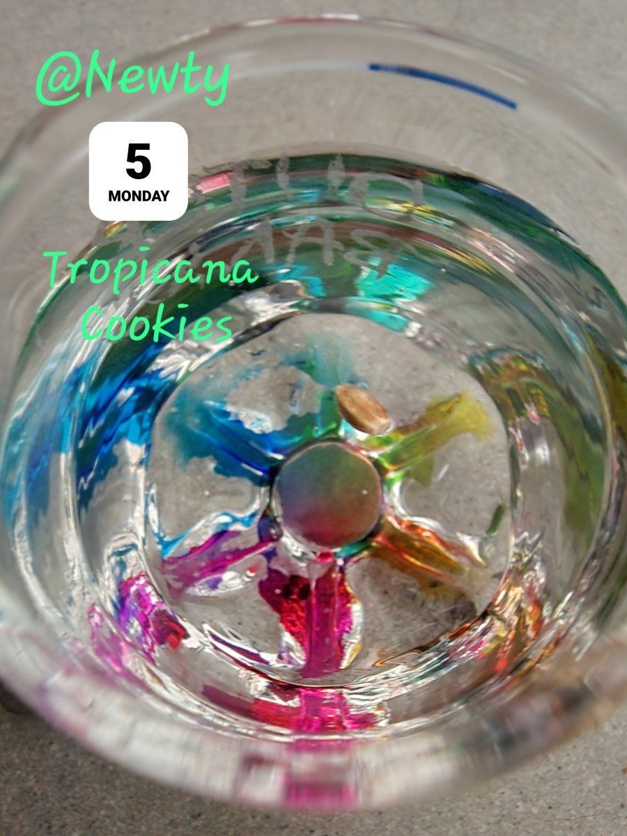 20240805 081200