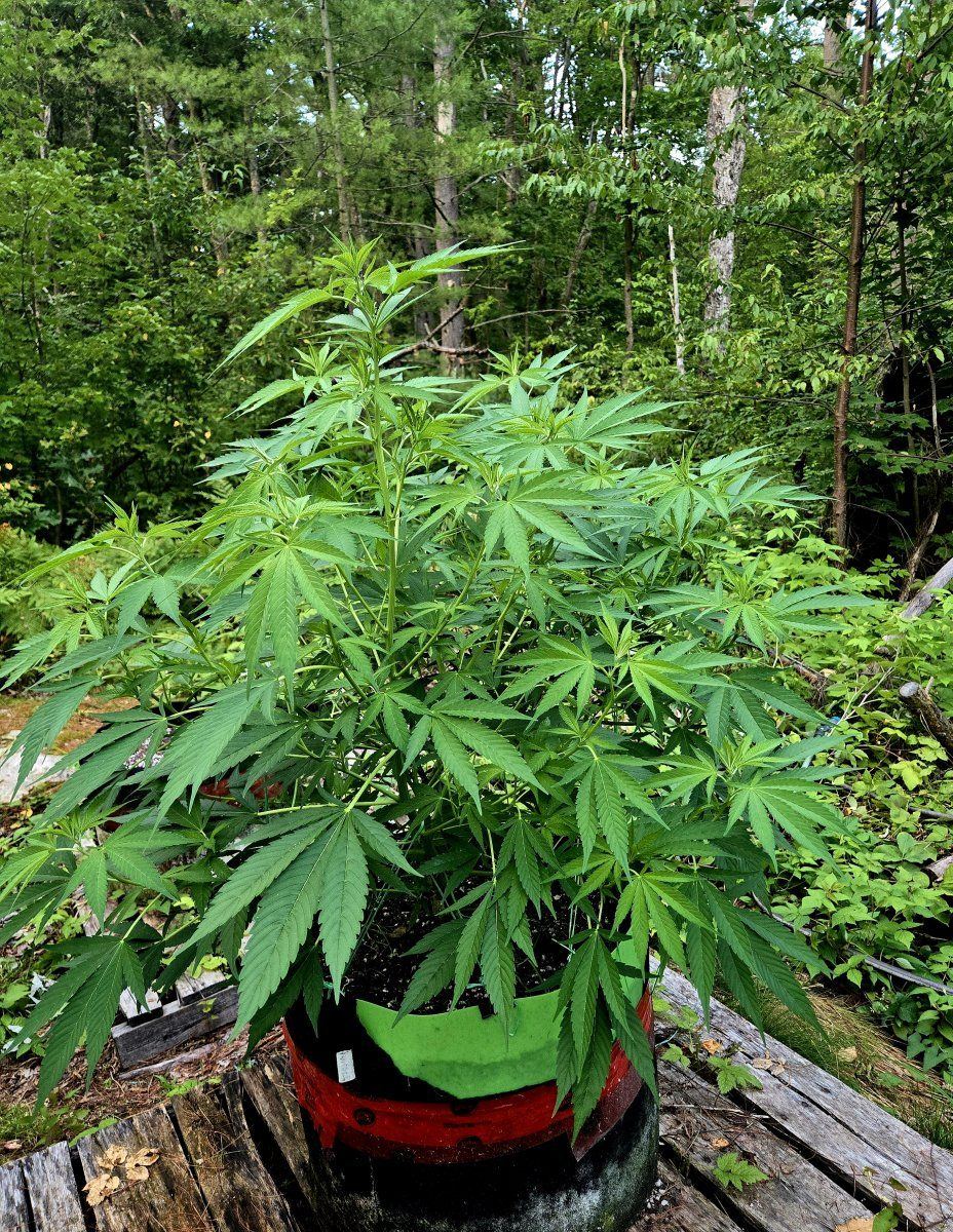 20240805 194523
