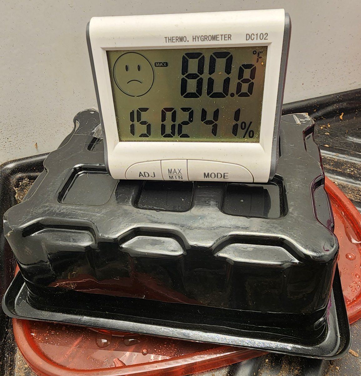 20240812 220548