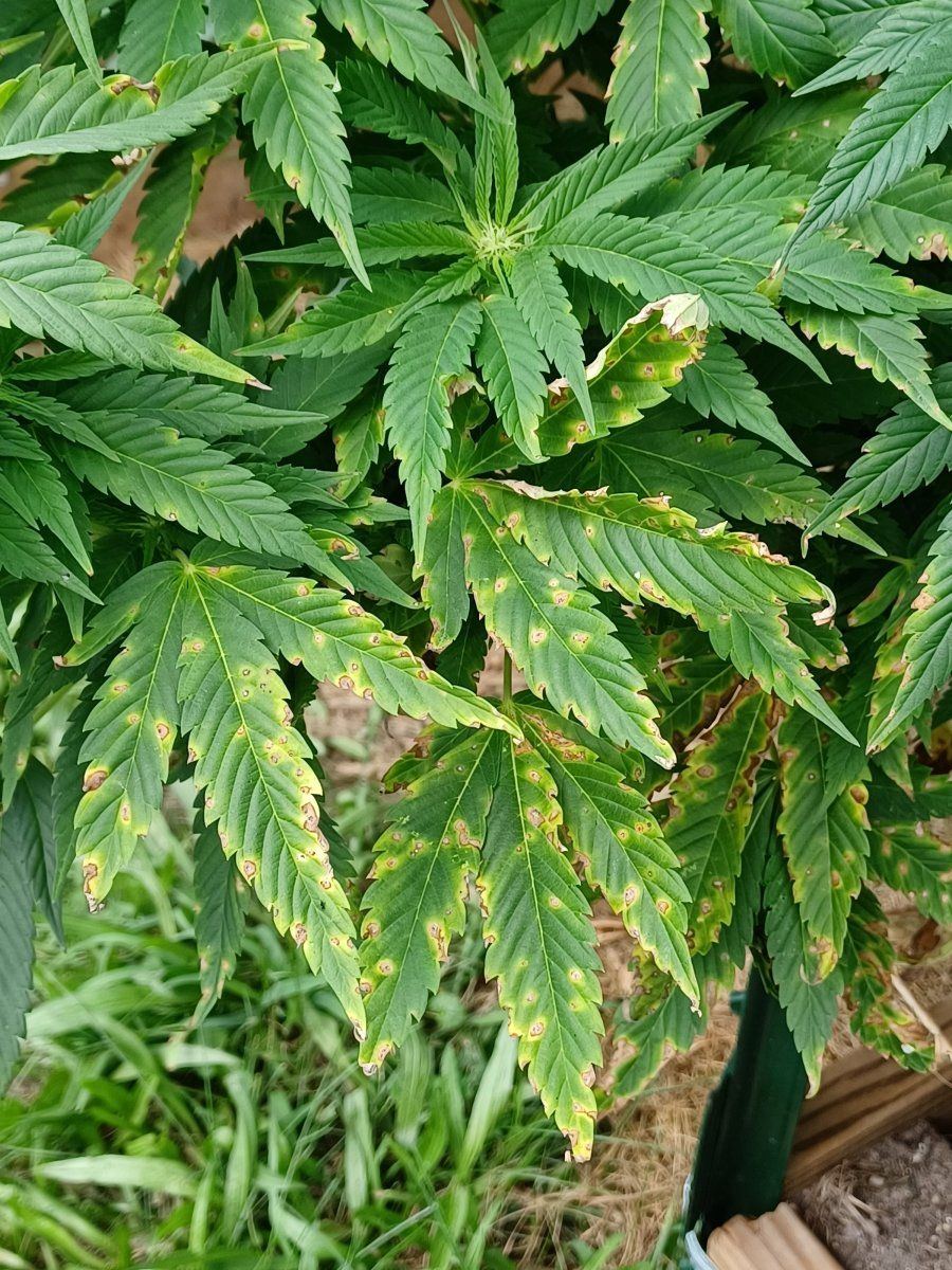 20240822 125258