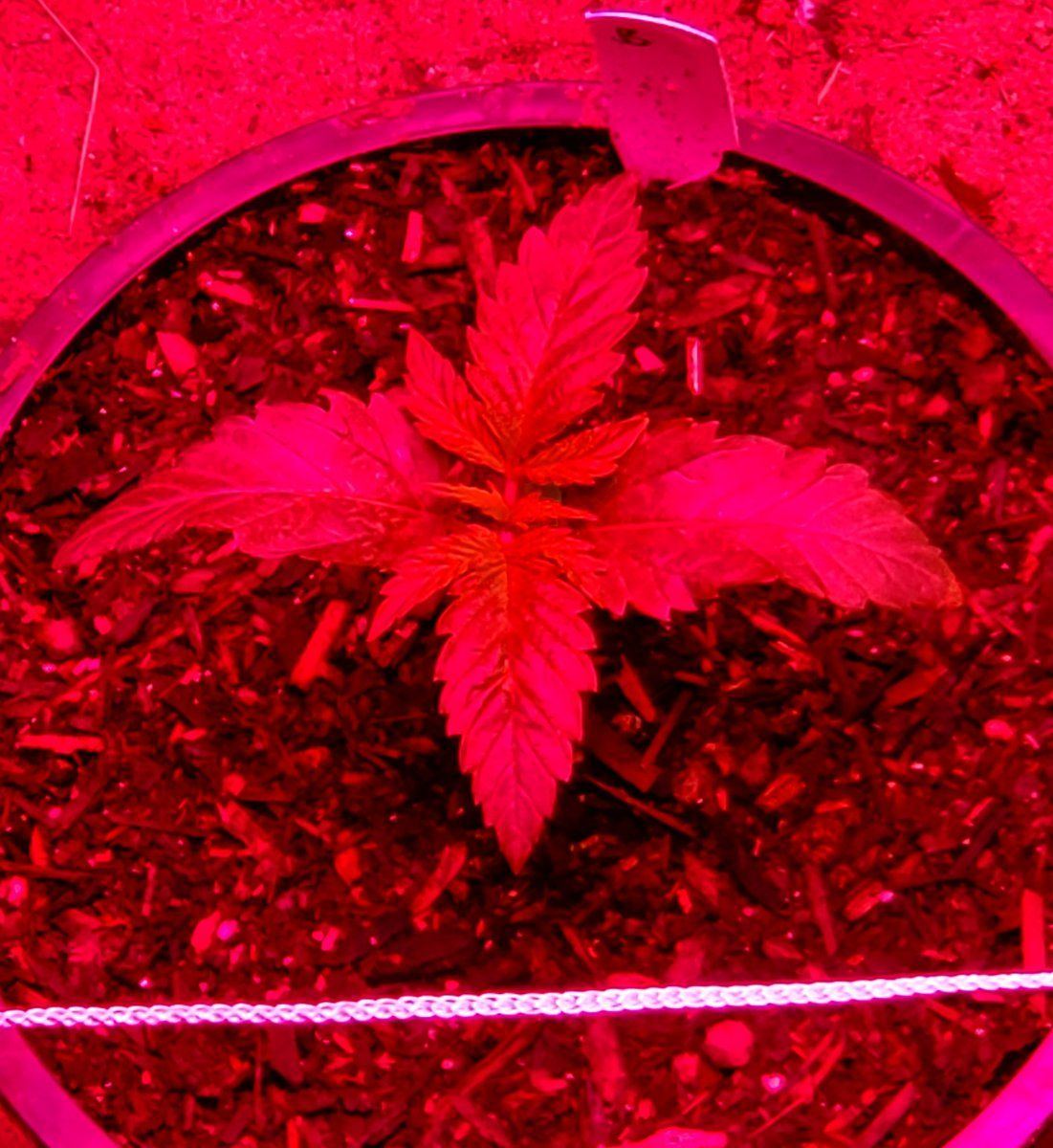 20240827 093756