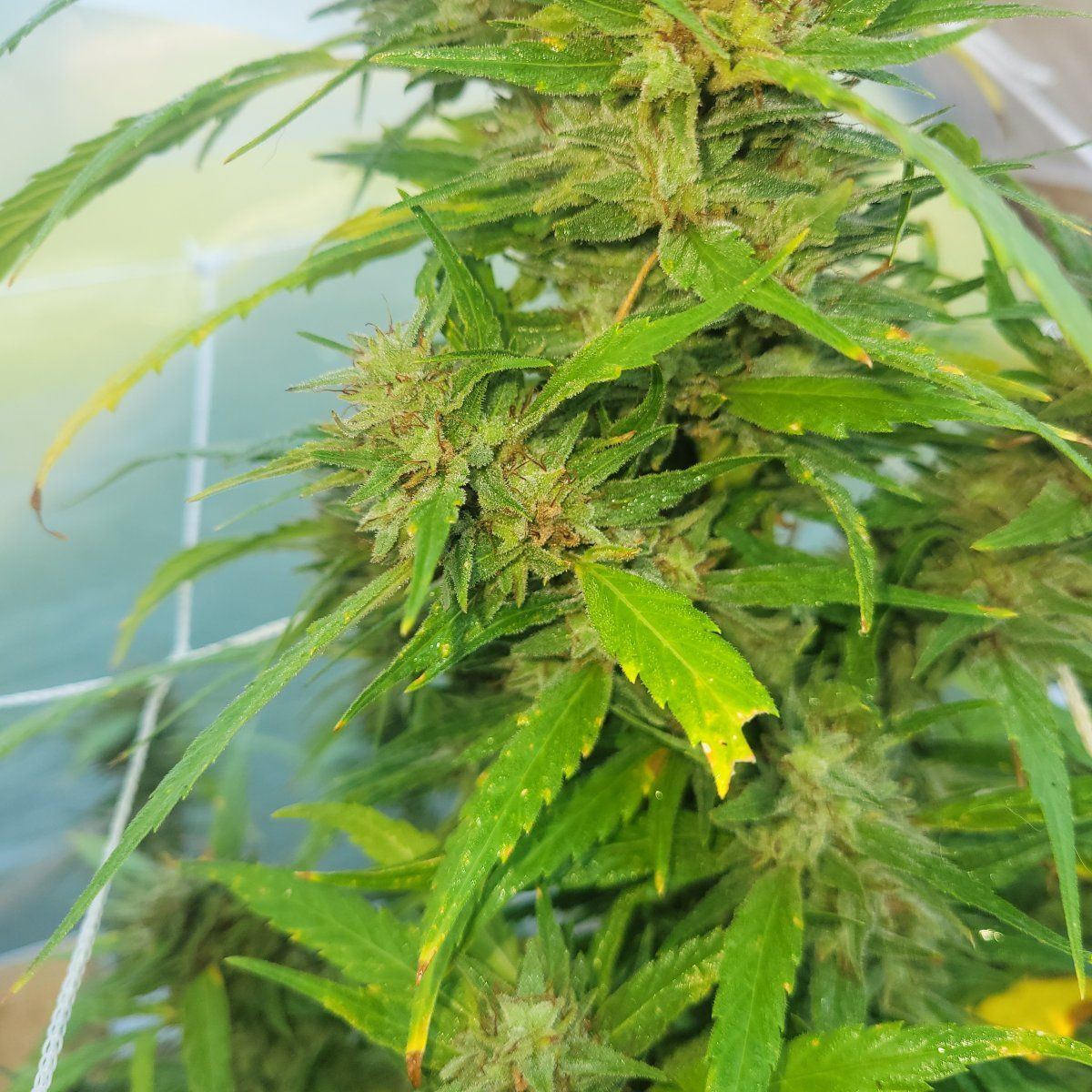20240904 084013