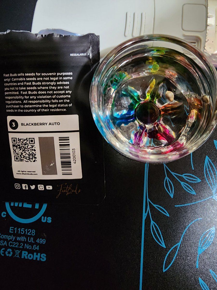 20240915 043713