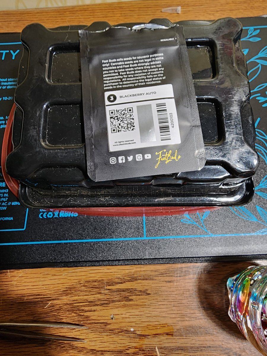 20240915 162353