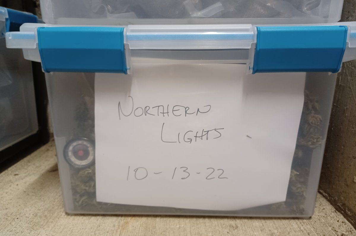 20241022 062506