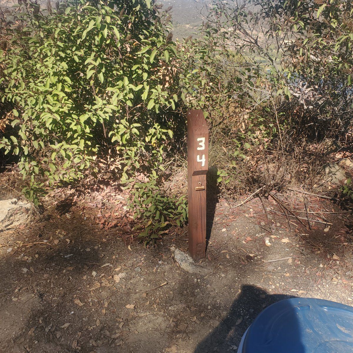 20241023 141234